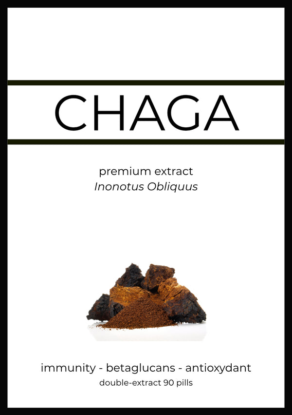 Chaga